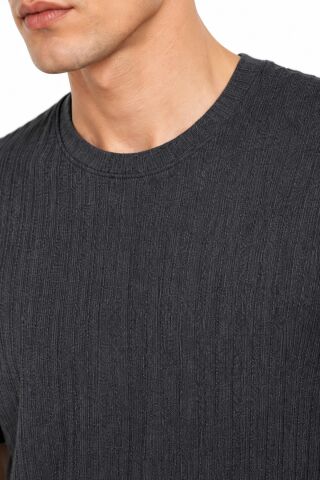 Erkek Sıfıryaka Triko Tişört Regular Kalıp BGL-ST05566 FÜME - L