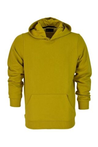 Erkek Kapüşonlu Basic Sweatshirt R2248 BGL-ST03192