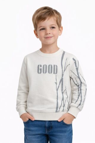 Erkek Çocuk Önü Arkası Baskılı Sweatshirt BGL-ST05241