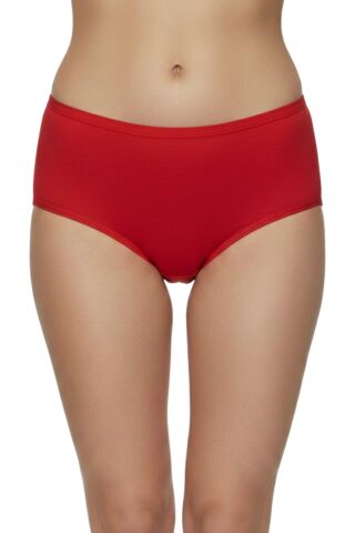 Kadın Flamlı Bato Külot BGL-ST05190 GRİ - XL