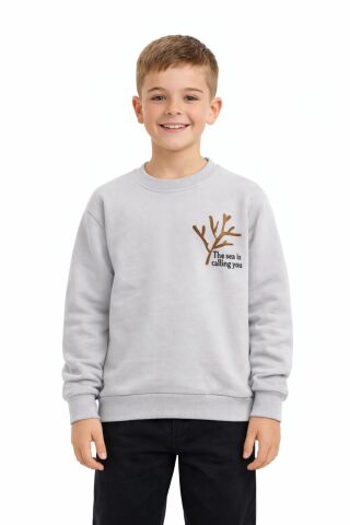 Erkek Çocuk Önü Baskılı Sweatshirt BGL-ST05238 GRİ - 9 YAŞ