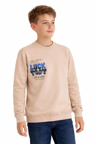 Erkek Çocuk Önü Arkası Baskılı Sweatshirt BGL-ST05237 TAŞ - 13 YAŞ