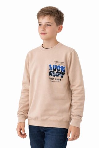 Erkek Çocuk Önü Arkası Baskılı Sweatshirt BGL-ST05237 TAŞ - 14 YAŞ