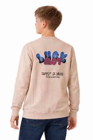 Erkek Çocuk Önü Arkası Baskılı Sweatshirt BGL-ST05237 TAŞ - 14 YAŞ