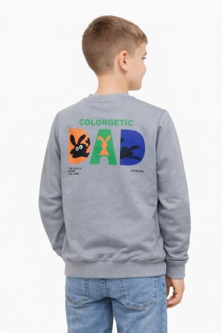 Erkek Çocuk Önü Baskılı Sweatshirt BGL-ST05234 GRİ - 11 YAŞ