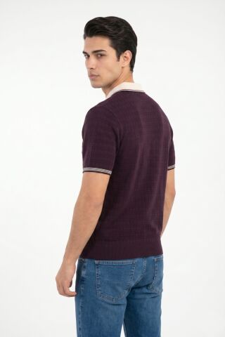 Erkek Spor Polo Yaka Triko Tişört BGL-ST05372 MÜRDÜM - M