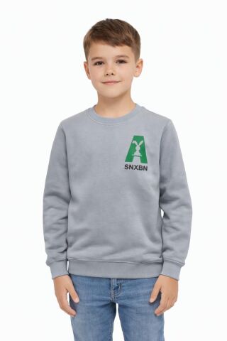 Erkek Çocuk Önü Baskılı Sweatshirt BGL-ST05234 GRİ - 9 YAŞ