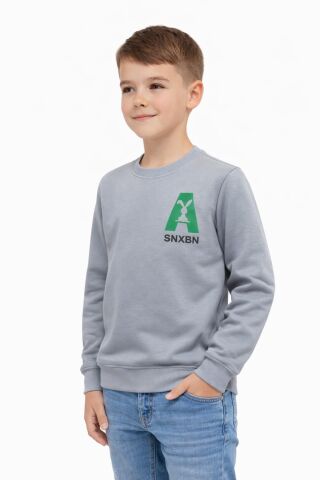 Erkek Çocuk Önü Baskılı Sweatshirt BGL-ST05234 GRİ - 9 YAŞ