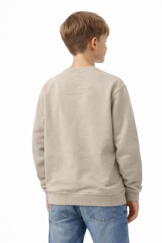 Erkek Çocuk Önü Baskılı Sweatshirt BGL-ST05233 TAŞ - 14 YAŞ