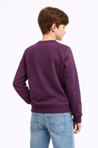 Erkek Çocuk Önü Arkası Baskılı Sweatshirt BGL-ST05231 MÜRDÜM - 16 YAŞ