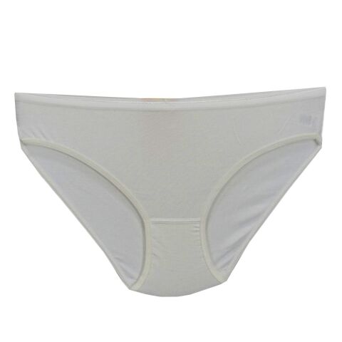 Kadın Bikini Külot Mikro Modal BGL-ST01312
