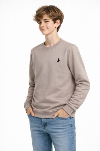 Erkek Çocuk Sweatshirt BGL-ST05228