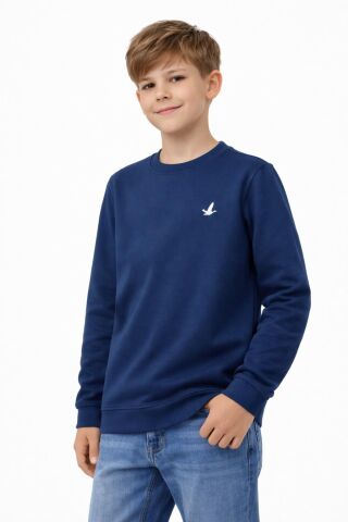 Erkek Çocuk Sweatshirt BGL-ST05228