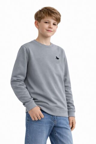 Erkek Çocuk Sweatshirt BGL-ST05228 GRİ - 14 YAŞ