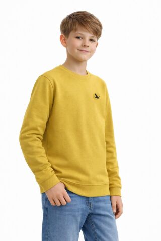 Erkek Çocuk Sweatshirt BGL-ST05228 YEŞİL - 14 YAŞ