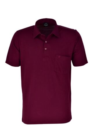 Erkek Gömlek Yaka Tişört BGL-ST03759 VİZON - 2XL