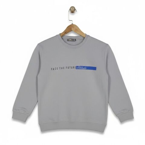Erkek Çocuk Önü Baskılı Sweatshirt BGL-ST05235 GRİ - 15 YAŞ
