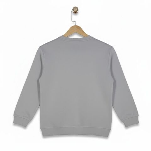 Erkek Çocuk Önü Baskılı Sweatshirt BGL-ST05235 GRİ - 16 YAŞ