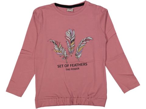 Kız Çocuk Mevsimlik Set Of Tüy Sweatshirt BGL-ST03654