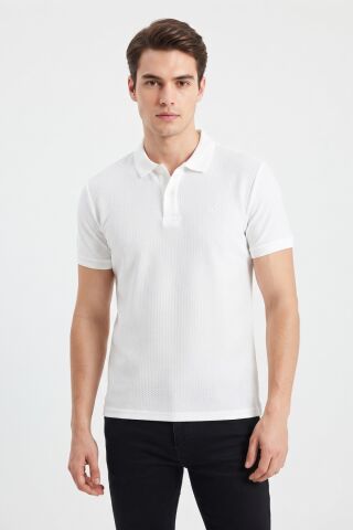 Erkek Polo Yaka Kısa Kollu Tişört Regular Kalıp 2610 BGL-ST05606