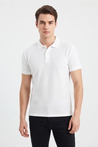 Erkek Polo Yaka Kısa Kollu Tişört Regular Kalıp 2610 BGL-ST05606